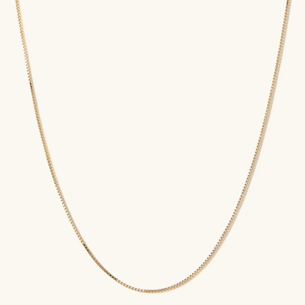 Mejuri Baby Box Chain Necklace and Discontinued Pendant